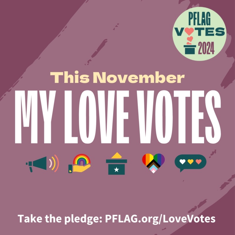 social media graphic: This November, My Love Votes