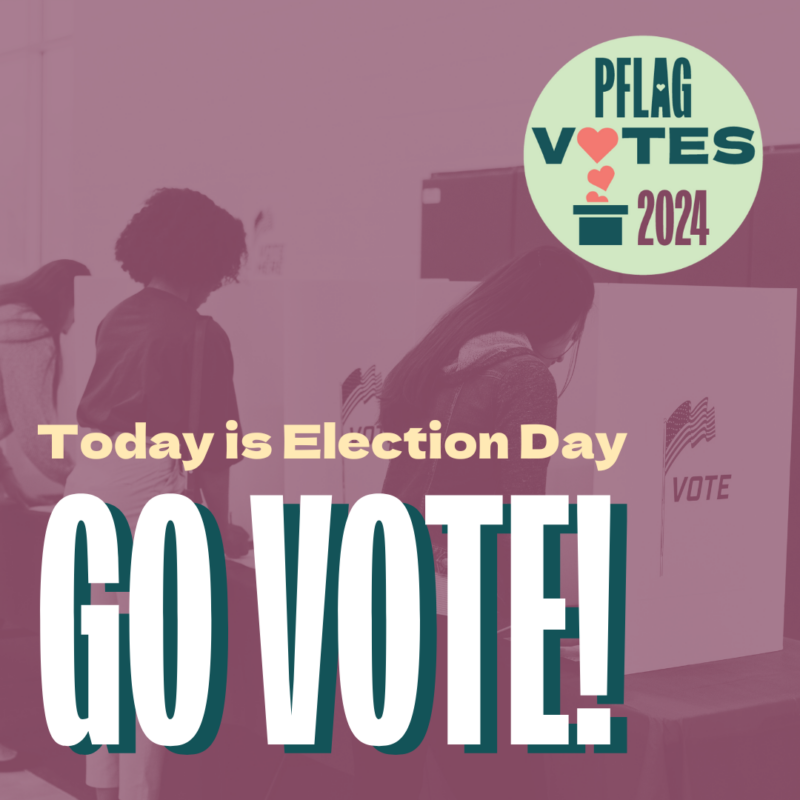 Today is Election Day - Go Vote!