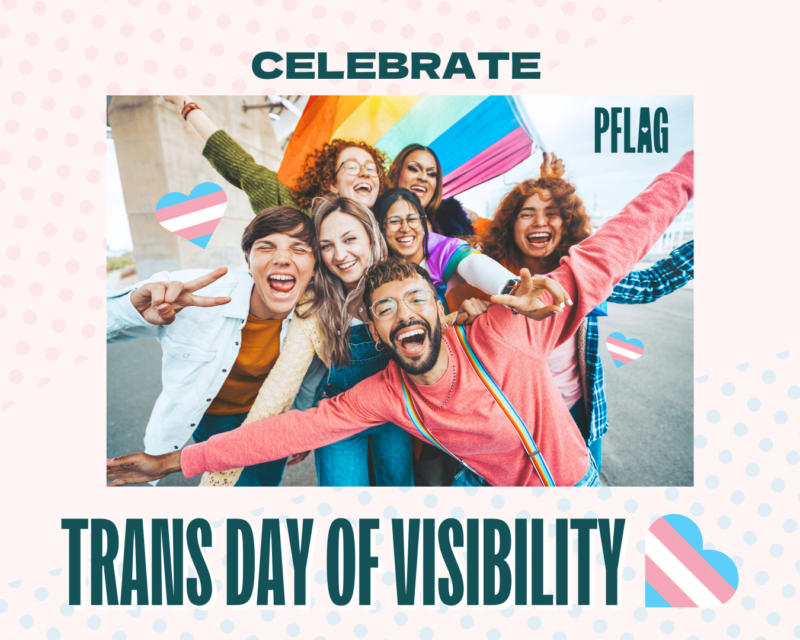 Centered on a light pink background with pale pink and blue gridded dots is a photo of a racially-diverse, queer group of friends smiling and waving a pride flag. Teal text above the photo reads, “CELEBRATE” and below the photo reads, “TRANS DAY OF VISIBILITY.” A few hearts in the style of the trans flag decorate the image.