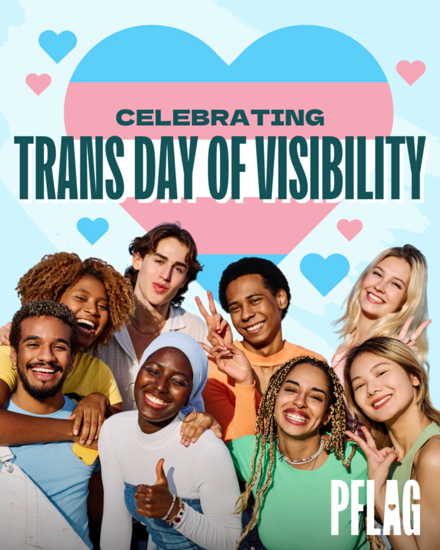 "Celebrating Trans Day of Visibility" with transgender pride hearts in the background. A photo of a diverse group of people smiling and looking at the camera in the middle of the graphic.
